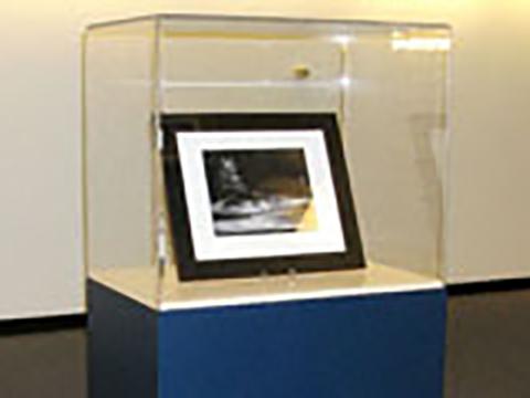 Exhibit Case - Blue Pedestal