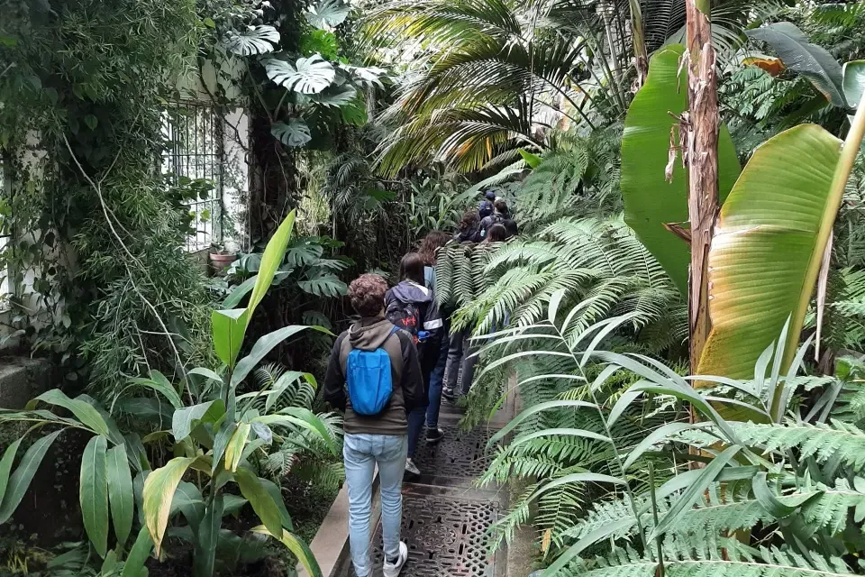 Students walking through Roya Bonatical Garden of Madrid during class trip.