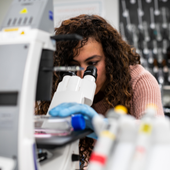 A student studies a sample under the microscope in a pain management lab